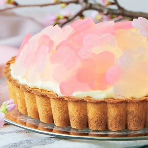 This cheesecake has us dreaming of spring. 🌸 | Tastemade