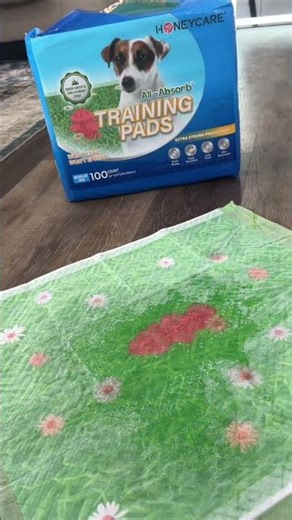 Make Potty Training Fun: Grass-Print Dog Pads 🌿🐶