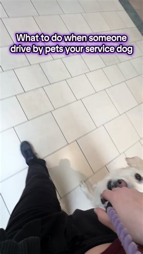 Hiking Adventures with Our Service Dog Mabel