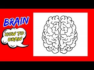 How To Draw A Brain Easily | The Human Brain Drawing Tutorial