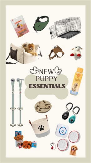 Watch New Puppy Essentials! Everything I bought to train my baby! on Amazon Live