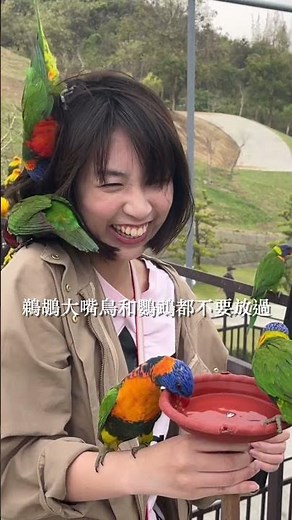 全台最大鳥類主題樂園，JoJoZoo九九峰動物樂園！ #南投景點 #九九峰動物樂園 #JoJoZoo