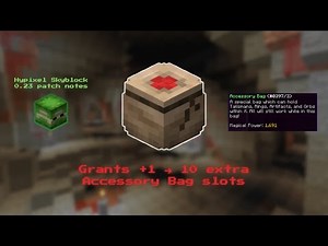 Accessory Bag slots for FREE??? and NEW SHARD!! (Hypixel Skyblock Guide/Tutorial)