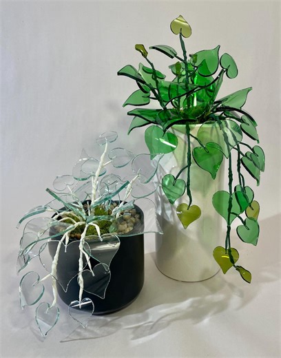 Glass Pothos Planter Size: Small (tall) - Etsy