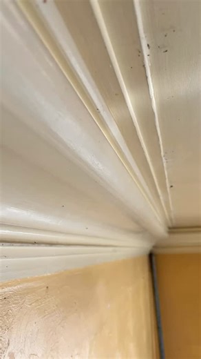 Patching and filling cracks in the plaster molding on the family home. #coffeeken #berthoud #plaster | CoffeeKen.com