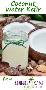 How to Make Coconut Water Kefir without Sugar