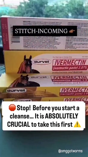Danica on Instagram: "TOP 5 BINDERS to PREVENT DEWORMING DIE-OFF SYMPTOMS 🪱 When you start a parasite cleanse, your body releases toxins that have been stored deep in your tissues. And parasites do not go quietly. Here’s what most people do not realize. Parasites hoard toxins like heavy metals and mold to protect themselves and hide from your immune system. When they die, those toxins are released into your bloodstream, which can trigger intense die off symptoms like: ⚡ Brain fog ⚡ Breakouts ⚡