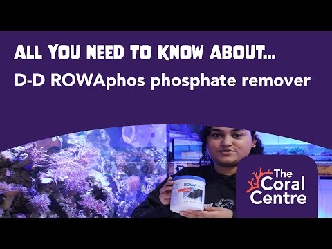 All you need to know about D-D ROWAphos Phosphate Remover