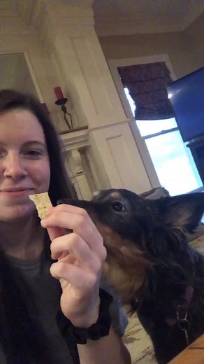 Hilarious Dog Challenge with Gracie Adams