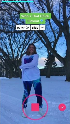 Who’s That Chick Dance Tutorial ❄️ Viral TikTok Dance