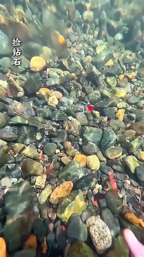 Discover Ice Spring Chewing Gum Toothpaste for Ocean Lovers