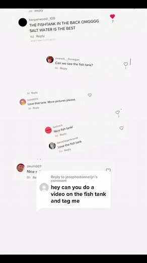 Reply to @josephodonnelljr Goodmorning from the fishes 🐠🐡 #fishtank #MoveWithTommy #fyp @sequel_dad