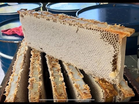 Old school honey extraction: some basic tips!!
