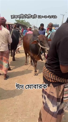 ঈদ মোবারক 🌙❤️🤲 ওও ভাই গরু কত নি ছে #foryoupage #foryou #viralvideo #fyp #fyppppppppppppppppppppppp