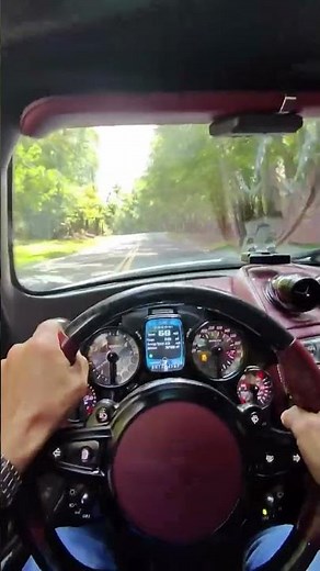 Pagani Huayra Imola Roadster Driving POV