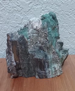 Green Petrified Wood - Very Rare - Etsy
