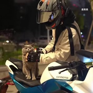 Biker cat, biker cat. Does whatever a biker can. | 9GAG