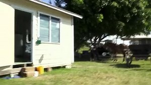 Alien Origin A kezdet (2014)