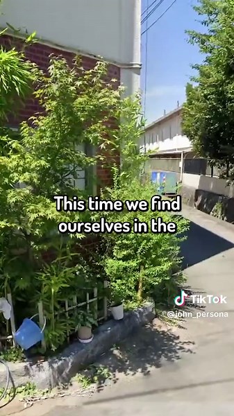 Exploring the Setting of Persona 3 Video Game