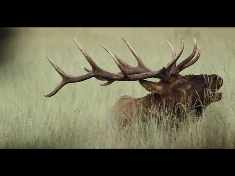 RMEF: Who We Are