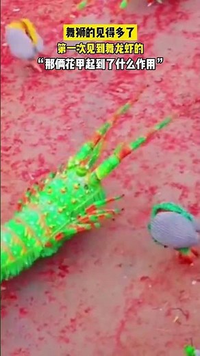 🦞🔥 Move over, lion dance—LOBSTER DANCE just stole the show! 😲🎉