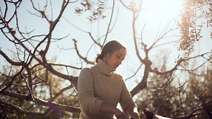 Participa en el Crowdfunding "Taller de Arte Puente Tocinos" en Verkami