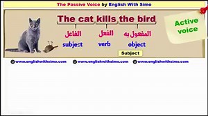 59K views · 989 reactions | English With Simo on Reels | Facebook