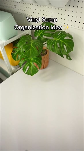 Vinyl Scrap Organization Idea ✨