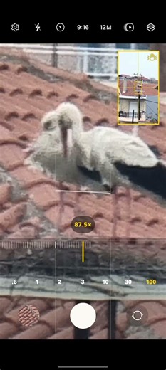 SAMSUNG 100x ZOOM - Trial #S26 #galaxy #200mp #trending