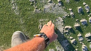 As we have been discussing through the summer having old soil with no drainage, something had to be done so we are injecting extremely coarse grade sand into the greens anywhere from 2 to 5 inches deep. This will allow water to penetrate through that thick anaerobic area into the lower portion so that it percolates More efficiently. | River Hills Agronomy