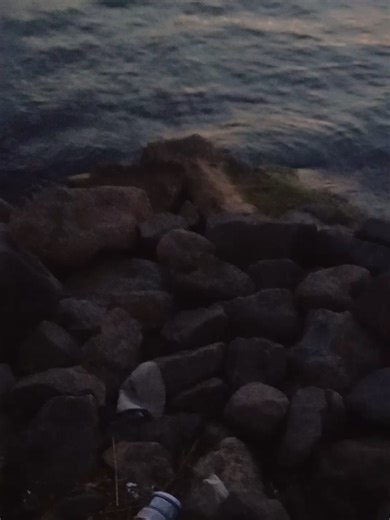 Nostalgic Memories of Senior Prom Songs