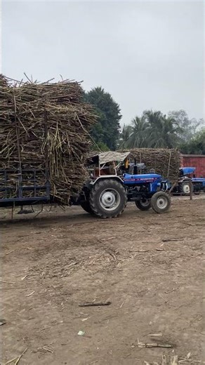 Trector lover #shortvideo #viralvideo #trector #power #farming #status