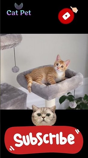 cat tree tower assembly