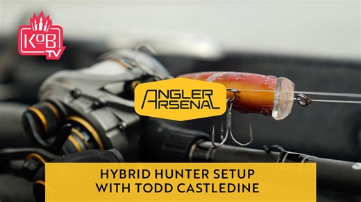2.7K views · 64 reactions | Introducing our new video series, Angler Arsenal! This series will be geared towards what specific setups our Pros use for various different techniques throughout the year. In this episode, Todd Castledine Professional Angler breaks down his go-to Hybrid Hunter setup and why. Featured Products: - Team Lew's Custom Pro - Super Duty Rods #TeamLews #FeelTheDifference #BassFishingTips #GrassFishing | Lew's | Facebook