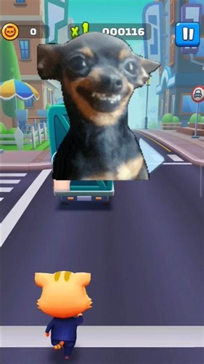 Cat Runner Game 🐱🏃‍♂️ High Score Gameplay | Endless Running Challenge 🔥#CatRunner #Gaming