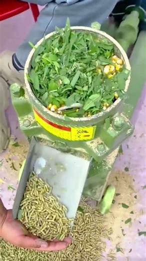 A Compact Machine Processing Corn and Green Leaves into Animal Feed Pellets