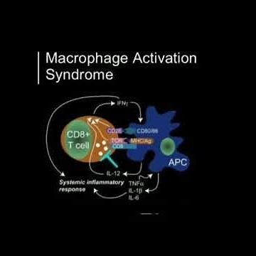 🍁 Macrophage Activation Syndrome 🍁