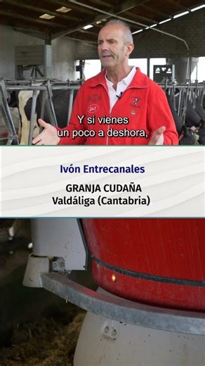 Robotization brings peace of mind to cows