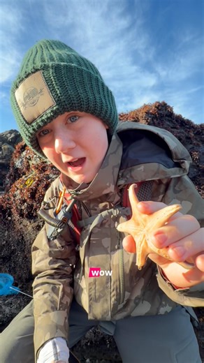This tide pool creature shocked us 😳