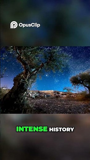 Israel vs Palestine Flag Meanings & History Explained