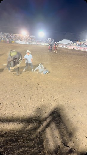 409 reactions · 12 shares | 84.5 points on 3Z Smoking Hot of @empire_rodeo_company for 2nd in Valley Canter, CA #staygulden | Raymond Mayo | Facebook