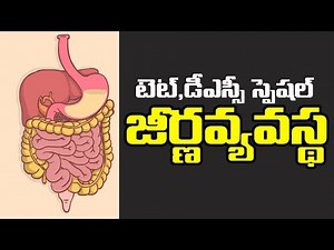 TET & DSC Biology ||digestive system ||TELUGU