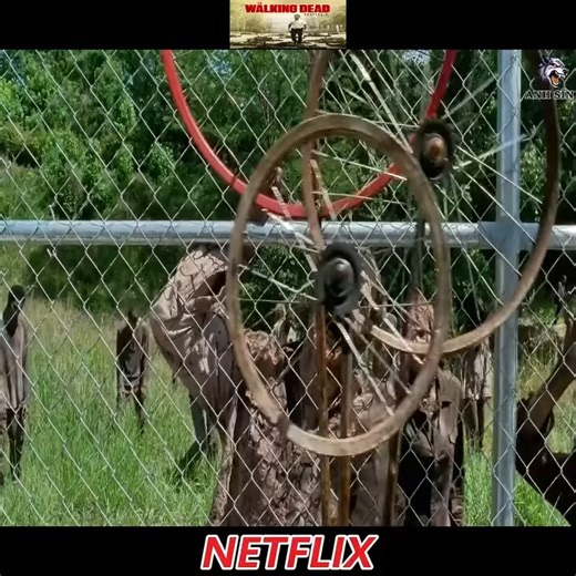 TOP MOVIE | John Lloyd Cruz