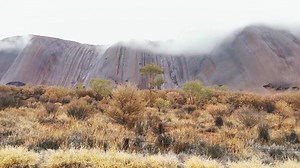 7.2K views · 505 reactions | Rain at Uluru! Many visitors enjoy Uluru...