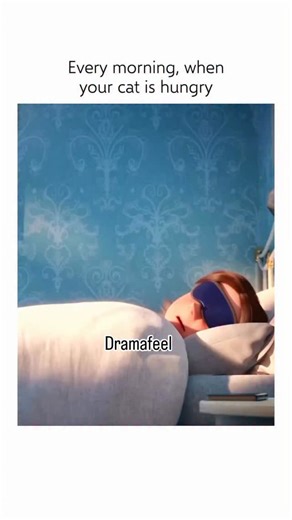 Tanya on Instagram: "😼 Interesting Fact: The Secret Life of Pets 2— The character Gidget, a fluffy white Pomeranian, perfectly embodies the chaos and humor of the movie’s cat-related plotline. To retrieve Max’s favorite toy from a cat-filled apartment, she enrolls in “cat school” under the tutelage of the cynical cat Chloe. Chloe’s voice actress, Lake Bell, prepared for the role by extensively studying cat behavior. This attention to detail ensured the realistic portrayal of cat indifference an