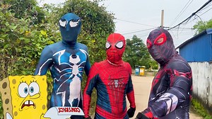 When Venom and the Spider Team Unite Against a Common Enemy! | Team SpiderMan TV