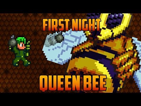 Terraria - Queen Bee first Night [Speedrun Challenge]