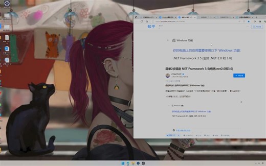 win11启动update安装NET3.5功能的方法