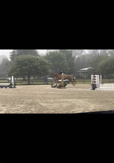 Ruby in the short stirrup and the 2ft derby this weekend🥹❤️