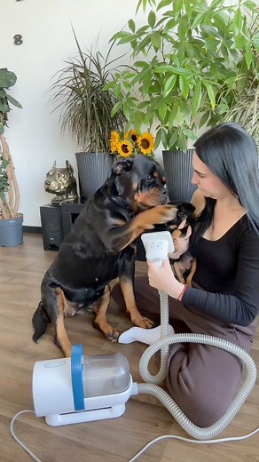 7.6M views · 54K reactions | No more flying fur  Link in BIO ✨Use Code : „gangrottie20” for 20% OFF. @oneisallofficial #oneisall #vacuum #rottweiler #dogshairvacuum | Gangrottie | Facebook